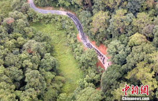 圖為來自武警福建總隊三明、龍巖、南平支隊100余名特戰隊員在福建省三明市永安?揲瞪嬌?展特戰極限練習?！×_武 攝